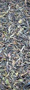 Bio Darjeeling Flugtee Plantage Phuguri