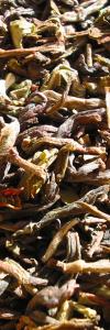 Sikkim Temi first flush