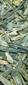 Japan Bancha grün Bio