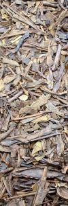 Japan Hojicha Bancha geröstet Bio